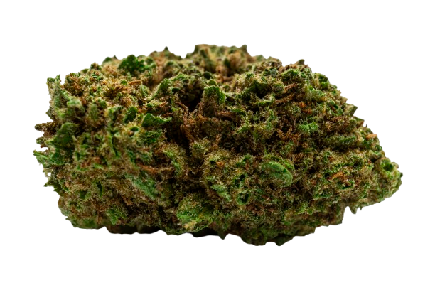 Gelato 33