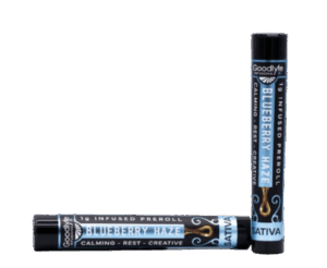 Goodlyfe Infusions Blueberry Haze