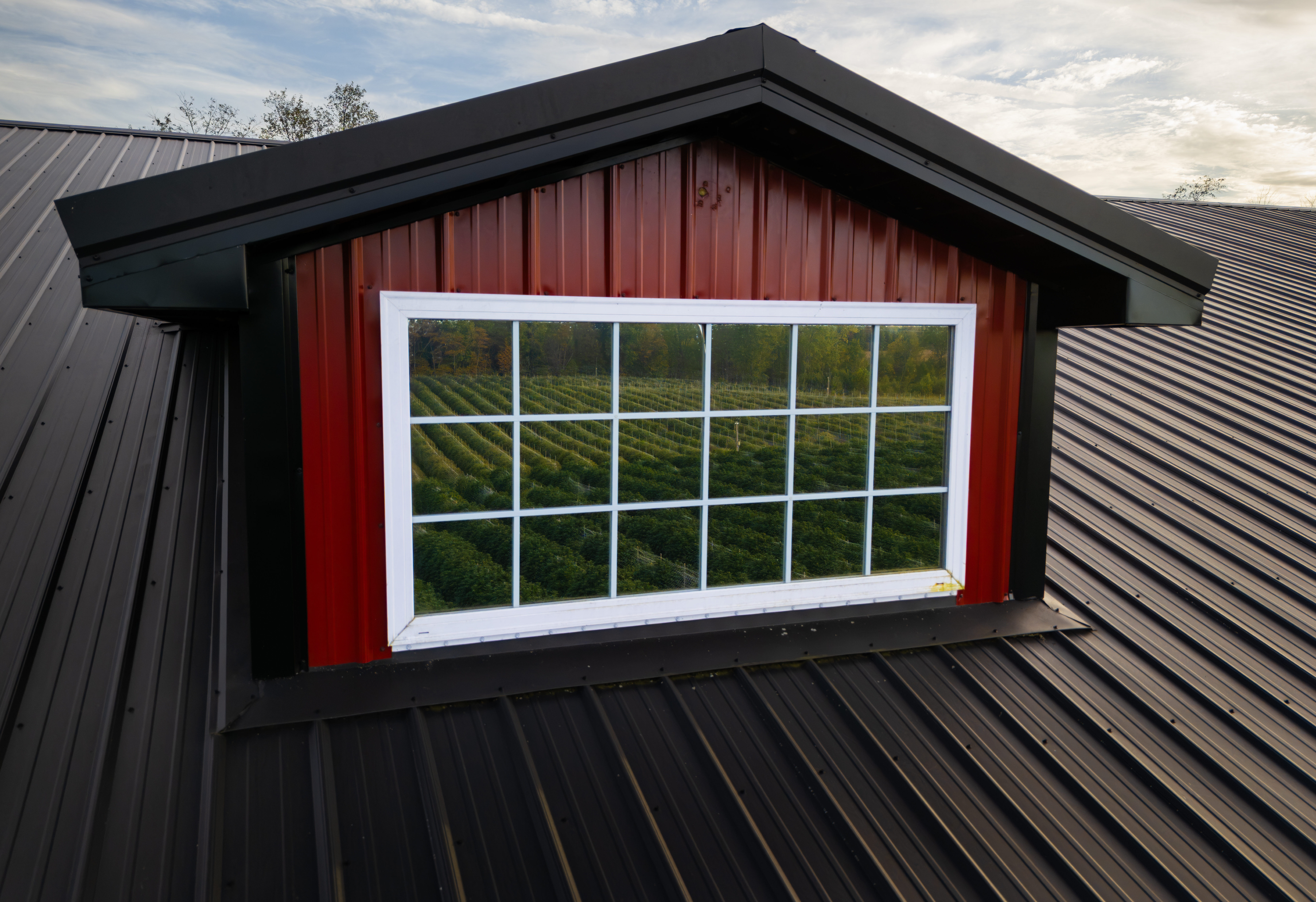 Goodlyfe Farms Barn Facing the Cannabis Field