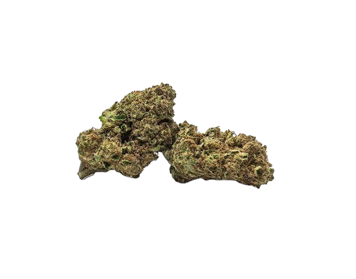 Mimosa