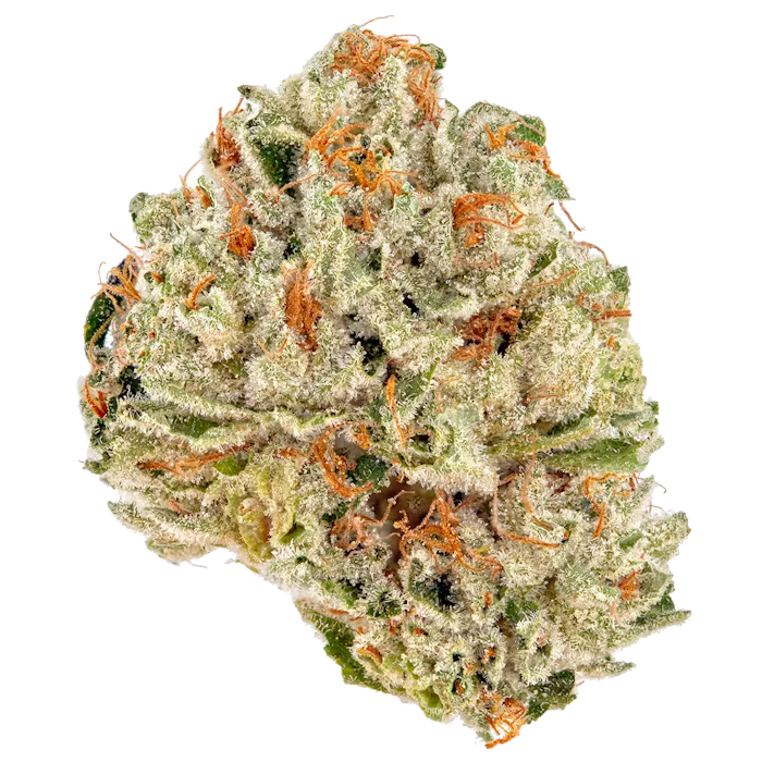 Royal Highness