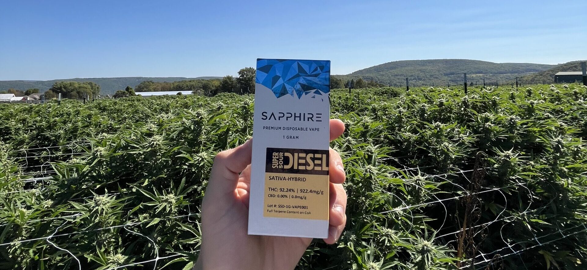 Vapes produced on the cannabis farm