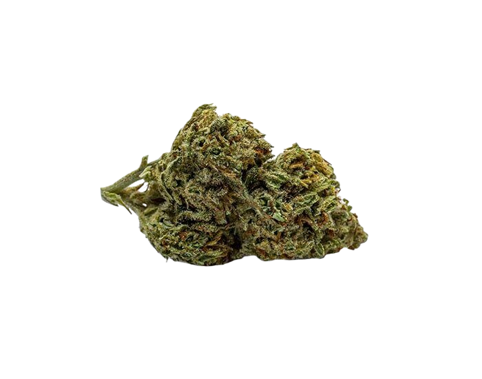 C99 x Blueberry Fast