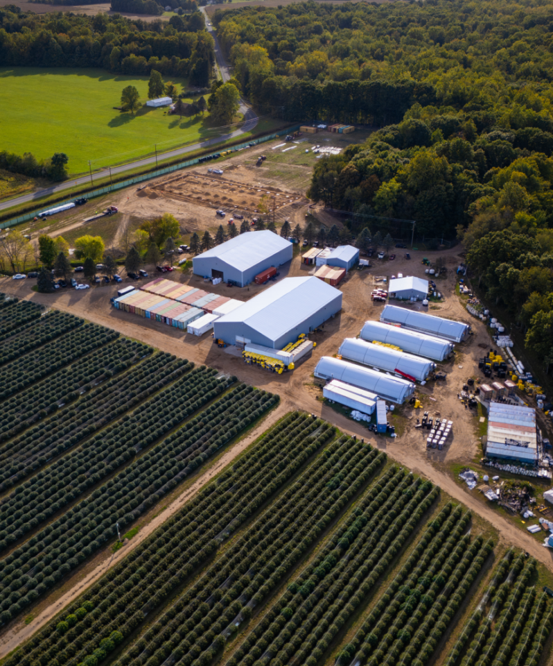 Cannabis Farm in Michigan