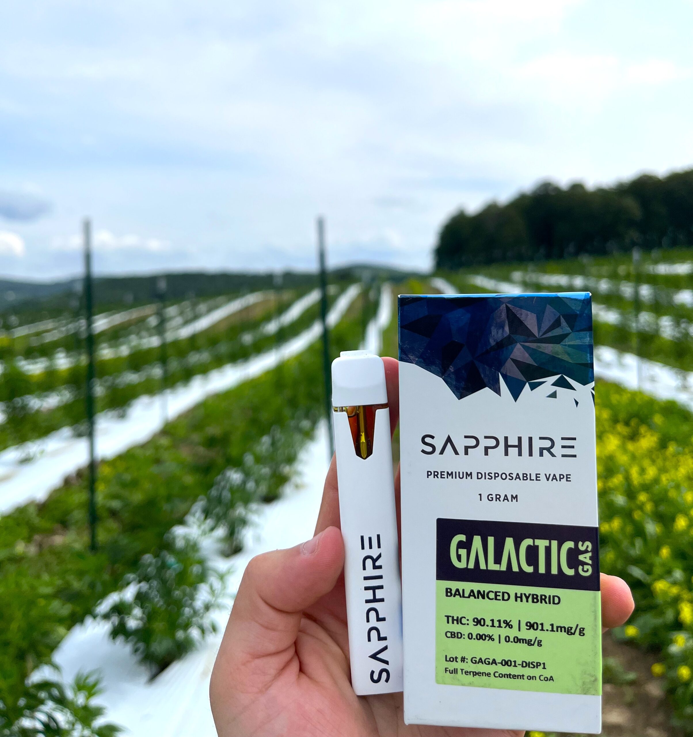 Sapphire Vape, Galactic Gas, held up against a Cannabis Field