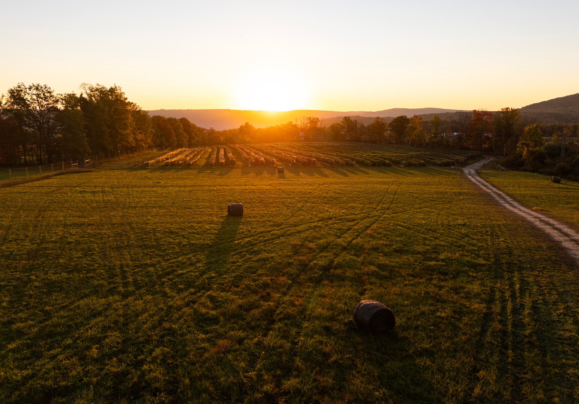 Sapphire Farms Sunset Drone Pic, B Field