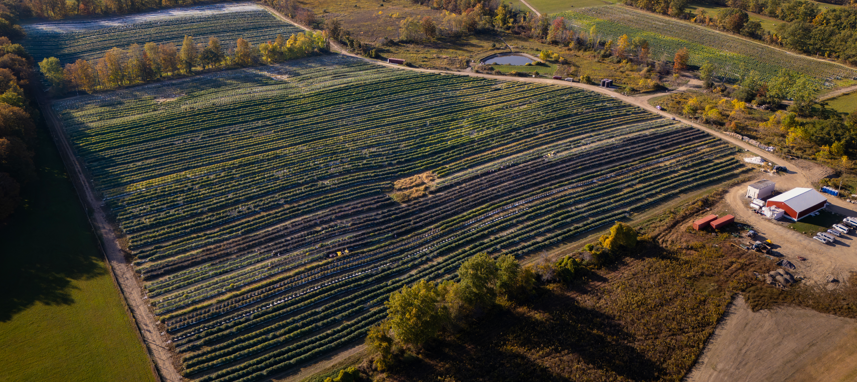 Sapphire Farms New York Overhead Shot