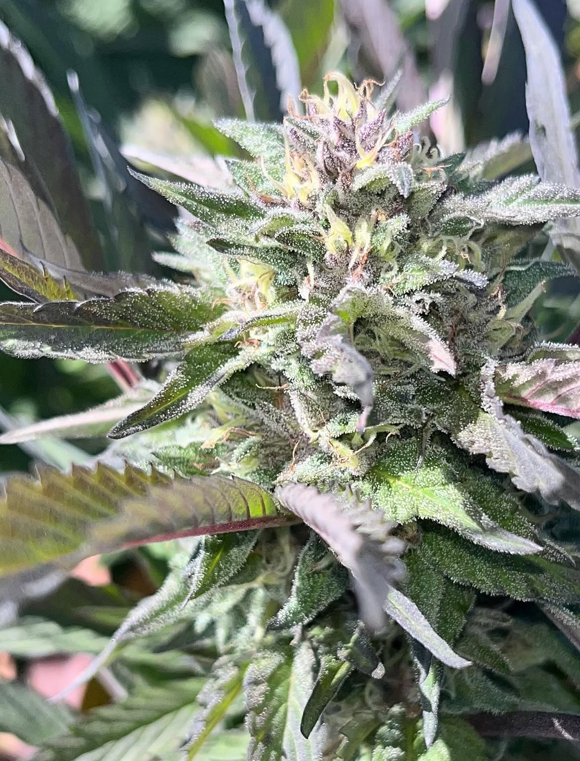 Everything starts with how we grow.